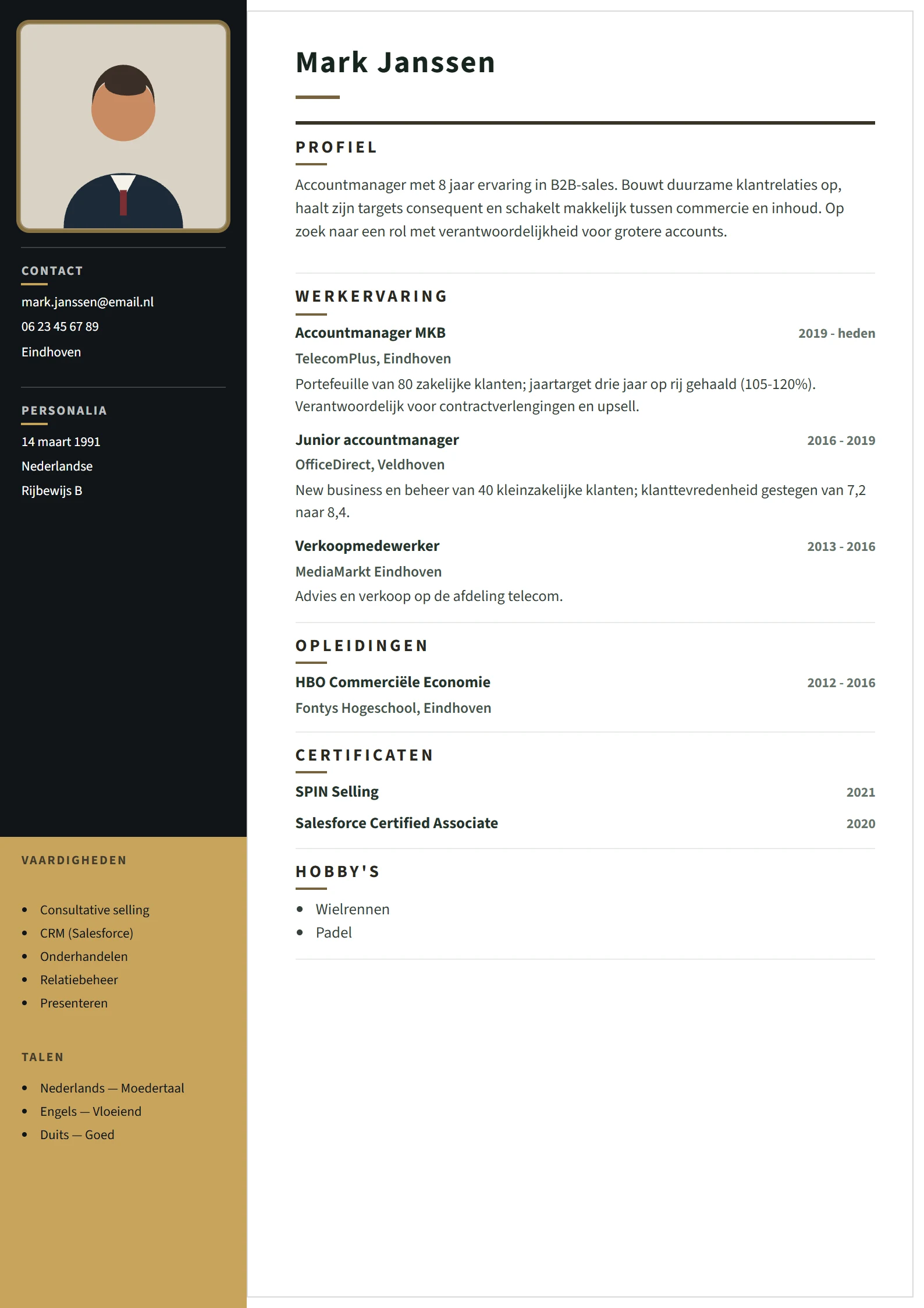 Voorbeeld-CV Executive Noir template